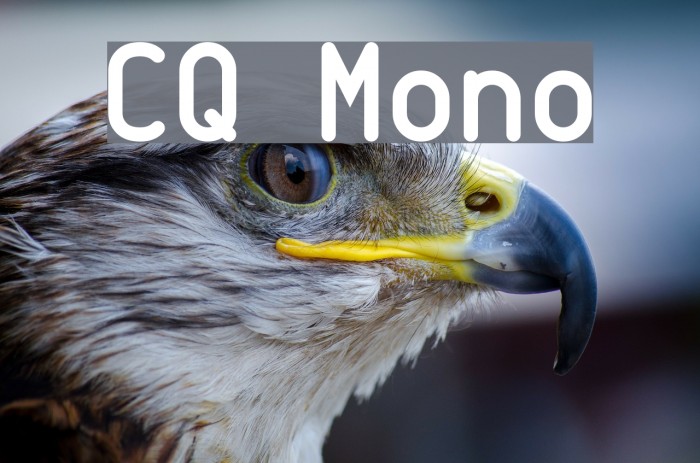 CQ Mono Font examples