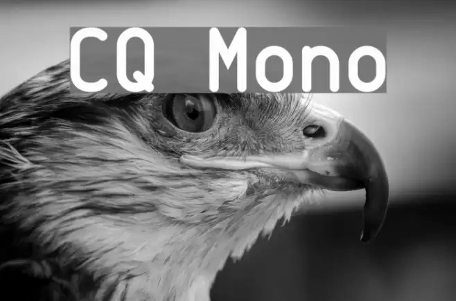CQ Mono フォント examples