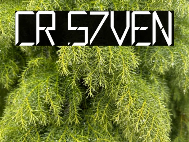 CR S7VEN Example 2
