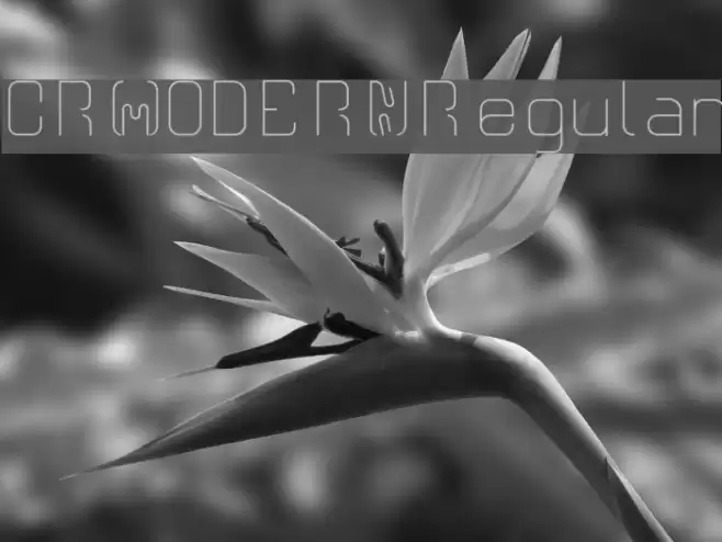 CR21MODERNRegular Font examples
