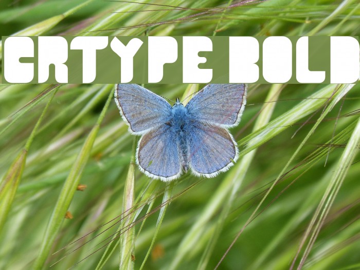 CR21TYPE Bold Font examples