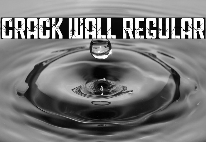 CRACK WALL Regular Example 2