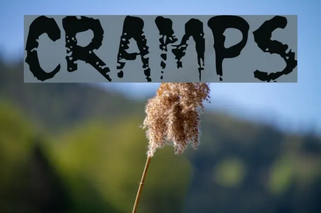 CRAMPS Example 1