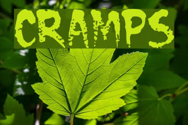 CRAMPS Example 2
