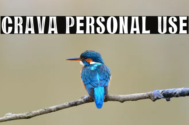 CRAVA Personal Use Example 2