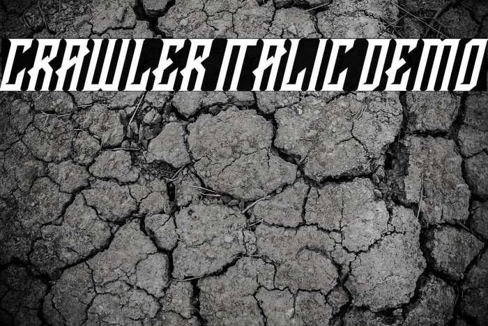 CRAWLER Italic Demo Example 1