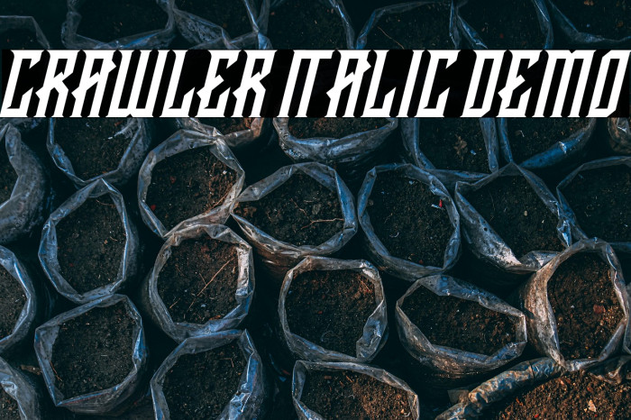 CRAWLER Italic Demo Example 2