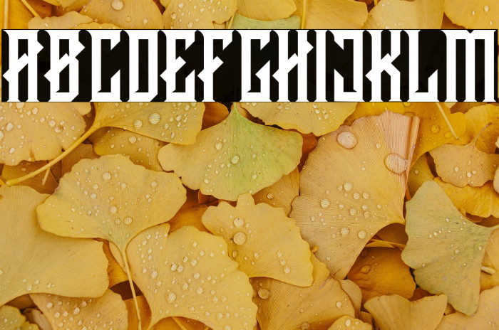 CRAWLER Regular DEMO Example 2