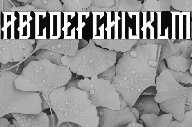 CRAWLER Regular DEMO Font examples