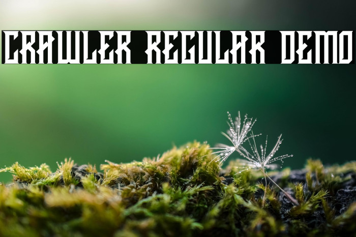 CRAWLER Regular DEMO Example 1