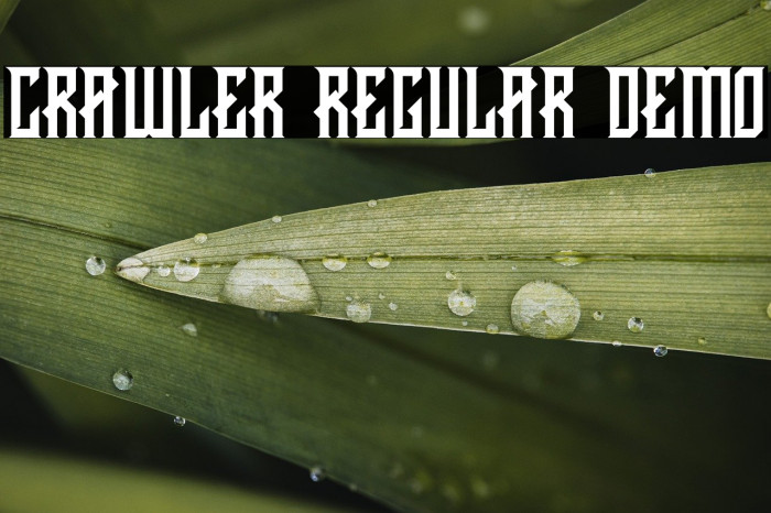 CRAWLER Regular DEMO Example 2