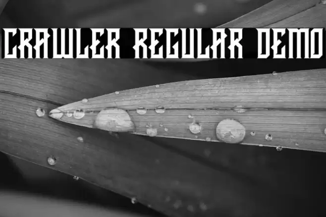 CRAWLER Regular DEMO Font examples