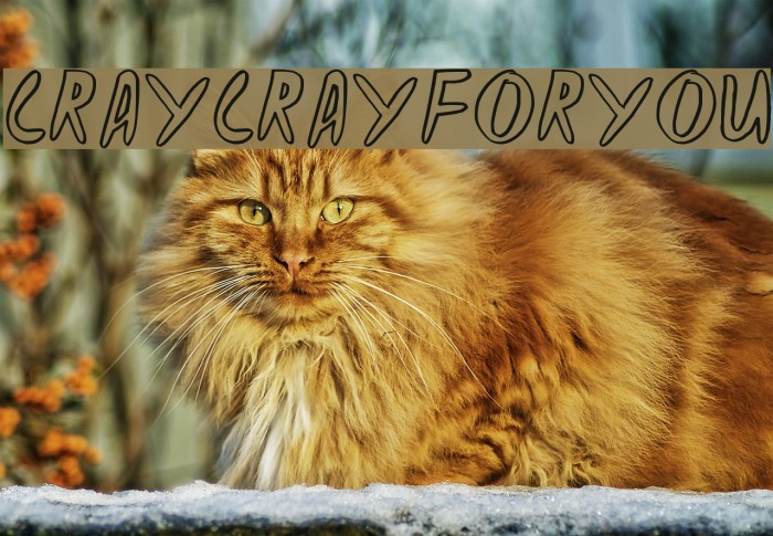 CRAYCRAY FOR YOU Font examples