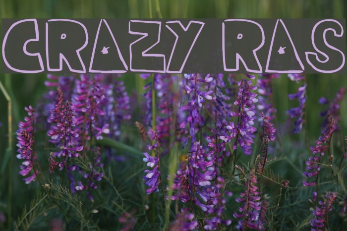 CRAZY RAS Font examples