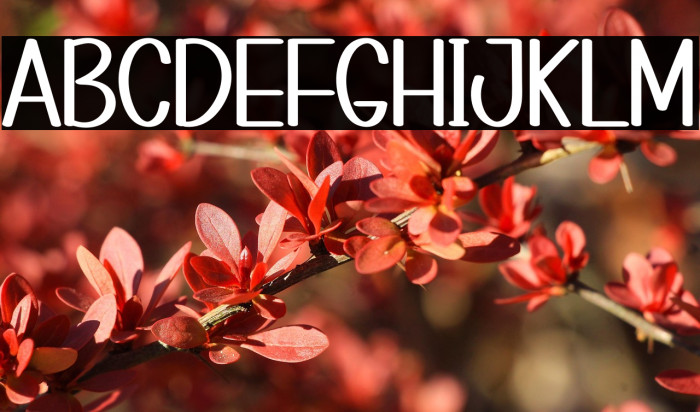 CREATIVE PLANNER Example 1