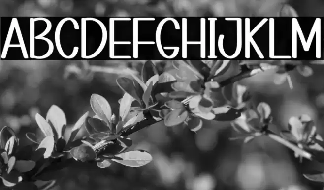 CREATIVE PLANNER Шрифта examples