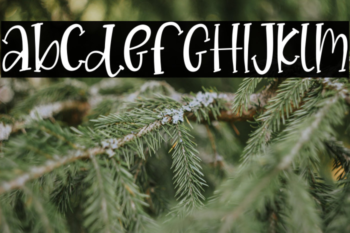 CREATIVE Vintage Example 1