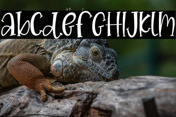 CREATIVE Vintage Example 2