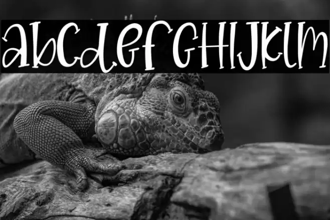 CREATIVE Vintage Font examples