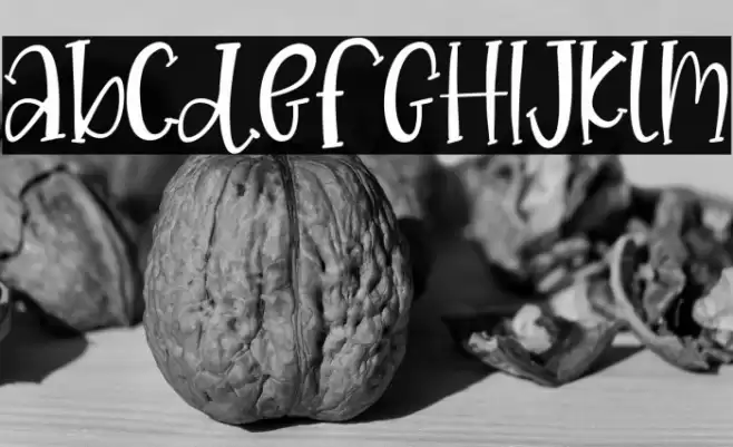 CREATIVE Vintage Font examples