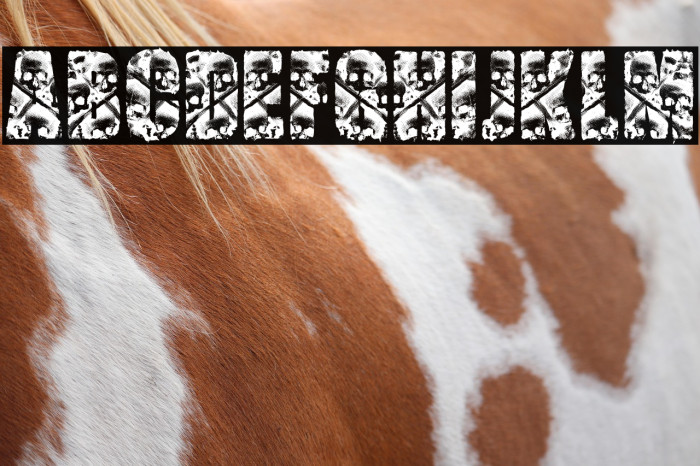 CREATOR PERSONAL USE Bold Example 1