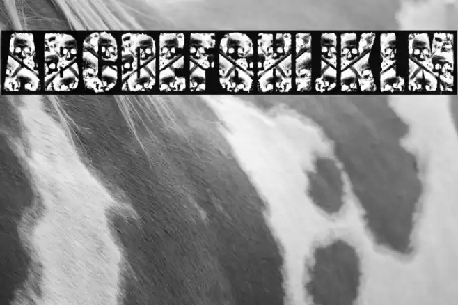 CREATOR PERSONAL USE Bold Font examples