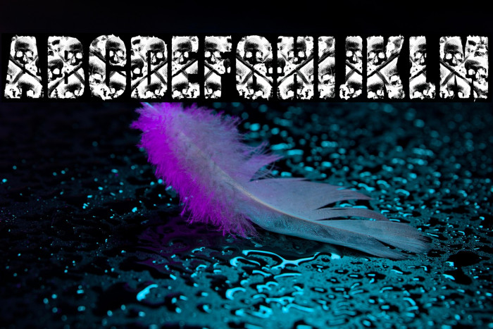 CREATOR PERSONAL USE Bold Example 2