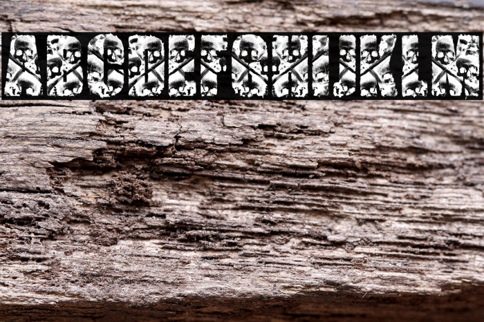 CREATOR PERSONAL USE Bold Example 3