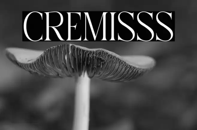 CREMISSS Font examples