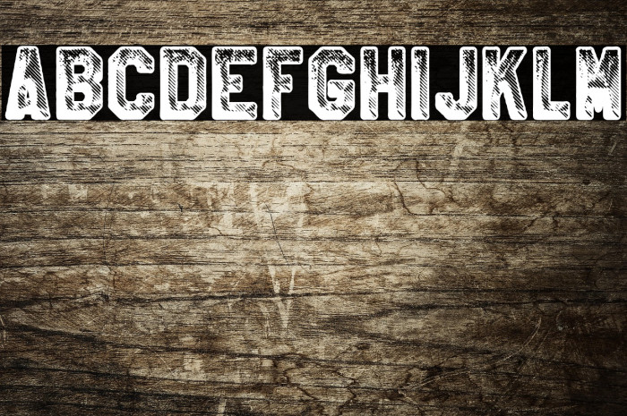 CRICKET PERSONAL USE Bold Example 2