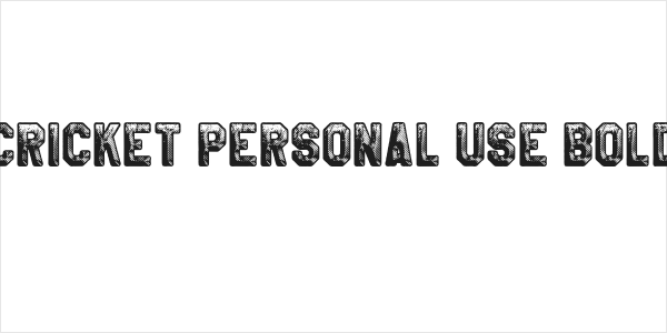 CRICKET PERSONAL USE Bold Logo