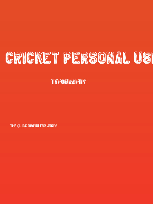 CRICKET PERSONAL USE Bold Poster