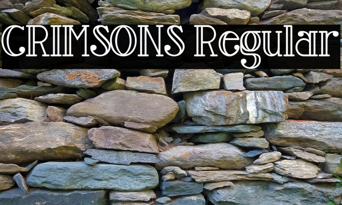 CRIMSONS Regular Example 1