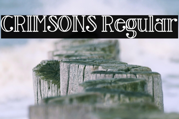 CRIMSONS Regular Example 3