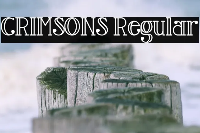 CRIMSONS Regular Example 3