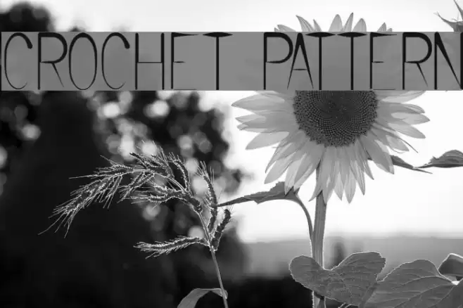 CROCHET PATTERN Font examples