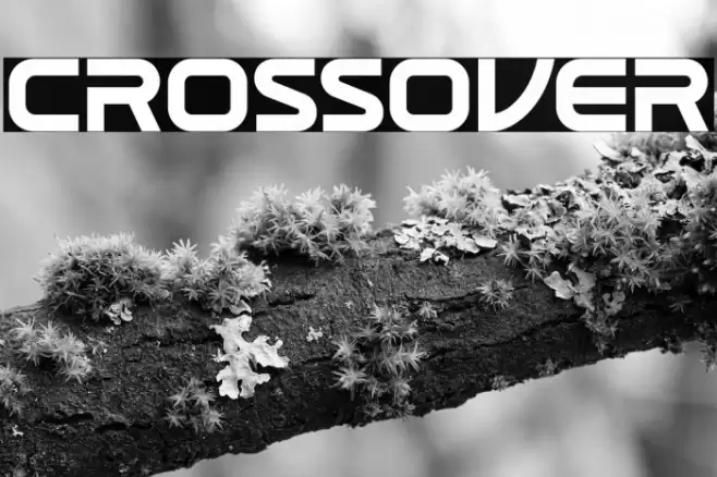 CROSSOVER Font examples