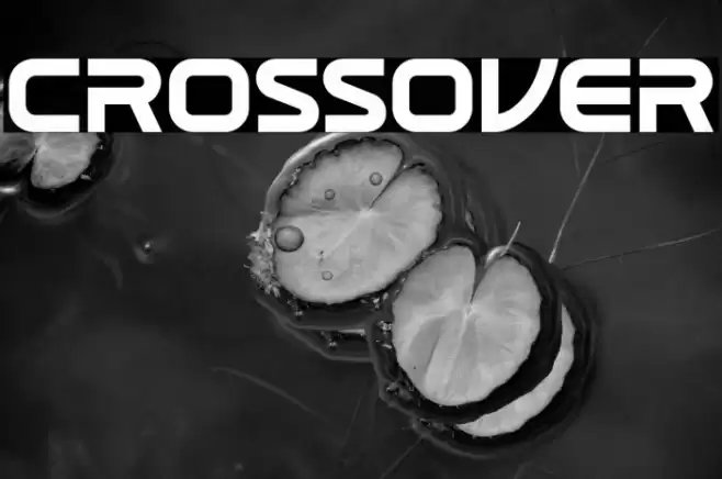 CROSSOVER Font examples