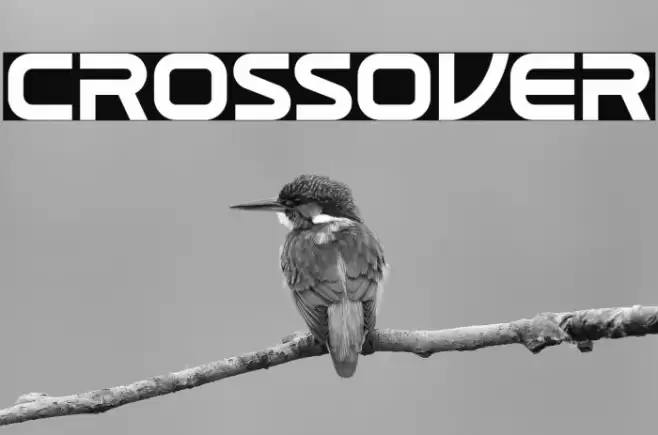 CROSSOVER Font examples