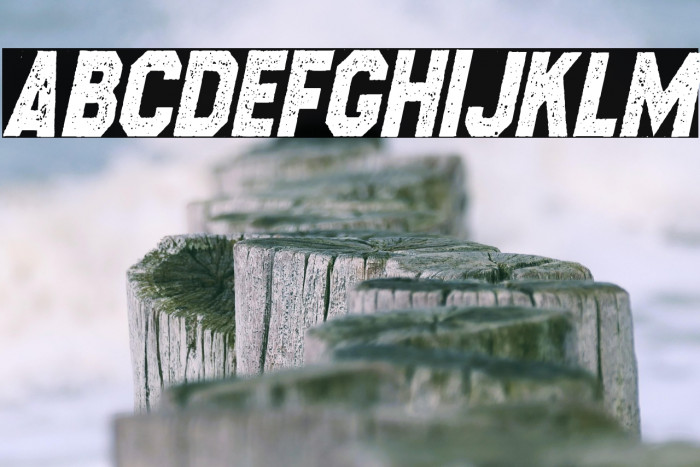 CROSSROADS CON ITALIC PERSONAL USE Regular Example 3