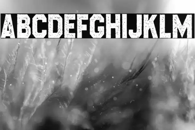 CROSSROADS CONDENSED Font examples