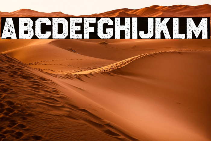 CROSSROADS PERSONAL USE Regular Example 2