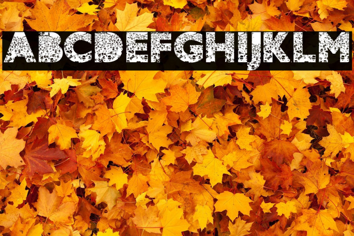 CROWD PERSONAL USE Bold Example 3