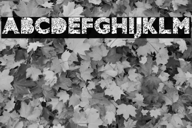 CROWD PERSONAL USE Bold Font examples