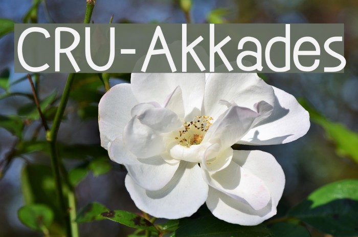CRU-Akkades Font examples