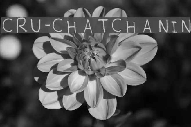 CRU-CHATCHANIN Font examples