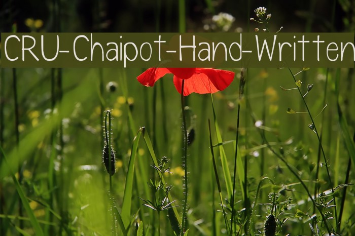 CRU-Chaipot-Hand-Written Font examples