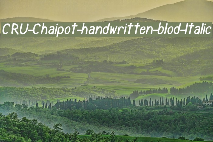 CRU-Chaipot-handwritten-blod-ltalic Font examples