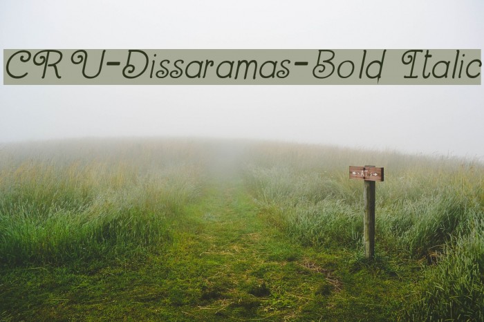 CRU-Dissaramas-Bold Italic Font examples