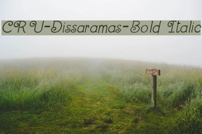 CRU-Dissaramas-Bold Italic Example 2